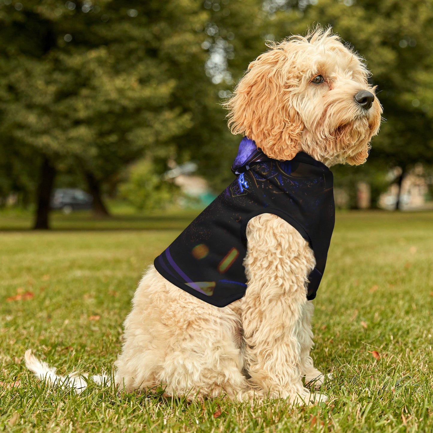 MidKnight-Headphones Pet Hoodie